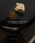 October After Dark (Bourbon Pumpkin + Spiced Vanilla)